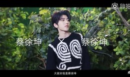 谁爆料了蔡徐坤的视频,蔡徐坤视频爆料者身份揭秘