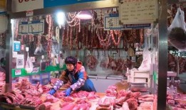 路边摊淀粉肠爆料视频,路边摊美食背后的秘密