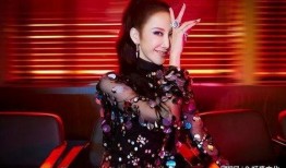 李玟录音爆料者视频,揭秘爆料者视频背后的真相