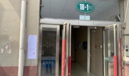 卖惨夫妇爆料视频大全,揭开网络卖惨背后的真相