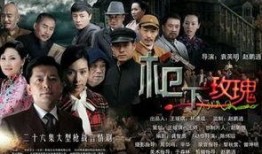 枪下玫瑰全集在线观看,生死恋曲全集在线观看，激情燃烧的岁月