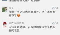 今日关注爆料后哪里查看,追踪事件进展，全面解读最新动态