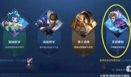身法训练营爆料视频,高效健身秘籍大公开
