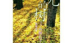 透光的树电影在线观看,光影交织的奇幻之旅