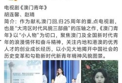 刘晶团队爆料视频播放,视频播放背后的惊人真相