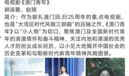 刘晶团队爆料视频播放,视频播放背后的惊人真相