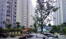 合肥二手房最新爆料,价格波动与热门区域揭秘